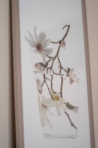 Image 2 of Reflections in Bloom | Limited Edition