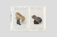 Image 2 of Walking Loaves - Luca Trevisani 