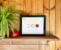 Image 2 of Three Apples