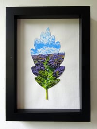 Image 1 of A Path Through Purple