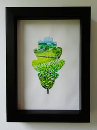 Image 1 of Bright Meadows