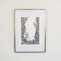 Image 1 of HERBIER SOUS-MARIN - 50 x 70 cm
