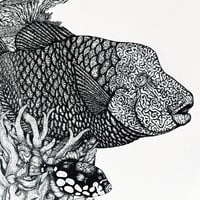 Image 2 of RÉCIF CORALLIEN - 50 x 70 cm
