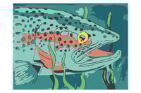 Rainbow Trout Head