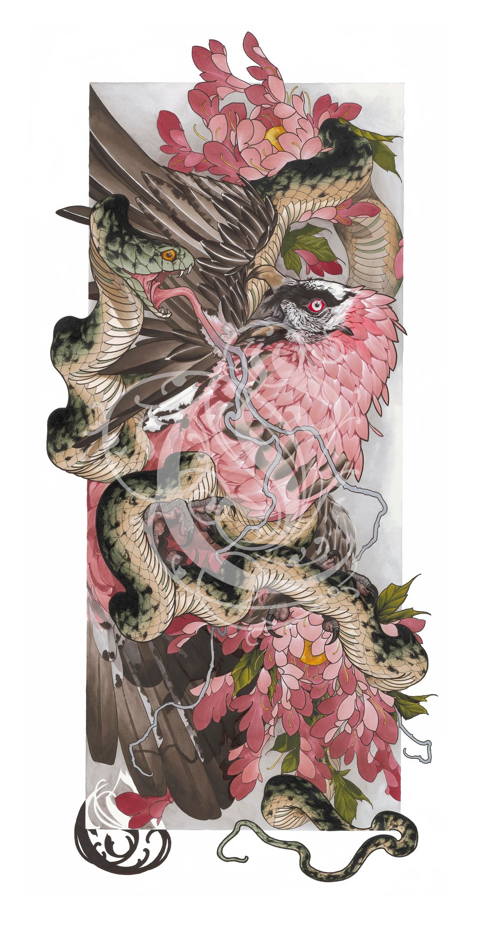 Image of 14"x 31" Unlucky Lammergeier Fine Art Print