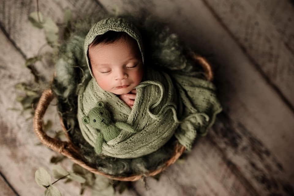 Image of SUCCULENT COTTON SET | PREORDER