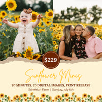 Sunflower Minis