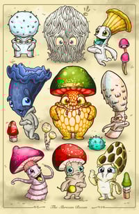 The Shroom Boom