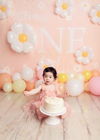 Image 3 of Baby/Kid (3months old and up) with Family Premium Session's payment balance 
