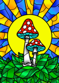 Amanita church (8x10”)
