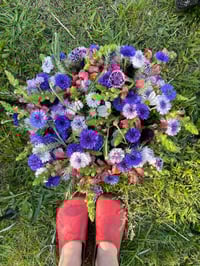 Image 2 of THURSDAY Ten Mothers Farm CSA members - Durham Pickup Locations