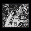 Confounder "Country Fucker" CD (Tribe Tapes)