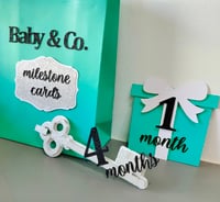 Image 1 of Baby & Co Tiffany Inspired 12 Months Milestone Cards Photo Prop. Tiffany Baby Shower Gift New Baby