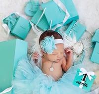Image 3 of Baby & Co Tiffany Inspired 12 Months Milestone Cards Photo Prop. Tiffany Baby Shower Gift New Baby