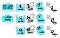 Image 5 of Baby & Co Tiffany Inspired 12 Months Milestone Cards Photo Prop. Tiffany Baby Shower Gift New Baby