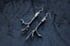 Dead good jackdaw corvid claw earrings Image 8