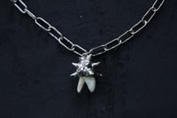 Image 2 of Dead good spikey tooth amulet 