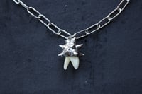 Image 3 of Dead good spikey tooth amulet 