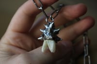 Image 7 of Dead good spikey tooth amulet 