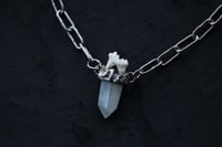 Image 3 of dead good aquamarine fox tooth necklace
