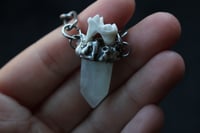 Image 5 of dead good aquamarine fox tooth necklace