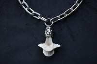 Image 2 of dead good sheep vertebrae chunky necklace
