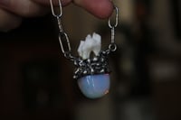 Image 3 of dead good deer tooth and opalite necklace 
