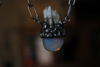 Image 6 of dead good deer tooth and opalite necklace 