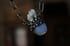 dead good deer tooth and opalite necklace  Image 7