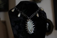 Image 2 of Dead good tooth fairy dragonfly wing necklace 