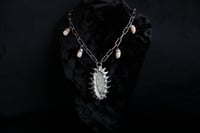 Image 6 of Dead good tooth fairy dragonfly wing necklace 