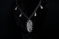Image 7 of Dead good tooth fairy dragonfly wing necklace 