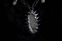 Image 8 of Dead good tooth fairy dragonfly wing necklace 