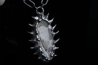Image 9 of Dead good tooth fairy dragonfly wing necklace 