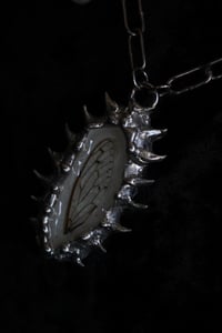 Image 10 of Dead good tooth fairy dragonfly wing necklace 