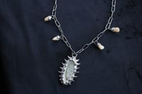Image 11 of Dead good tooth fairy dragonfly wing necklace 