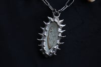 Image 12 of Dead good tooth fairy dragonfly wing necklace 