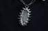 Dead good tooth fairy dragonfly wing necklace  Image 12