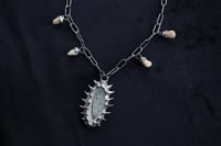 Image 13 of Dead good tooth fairy dragonfly wing necklace 