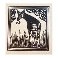 Okapi