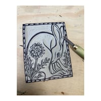 Image 2 of Dandelion Hare