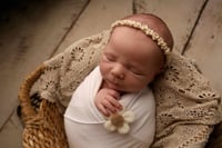 Image 4 of Fluffy Daisies - set of 5 