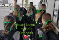Image 5 of Gymnastics Hair accessories