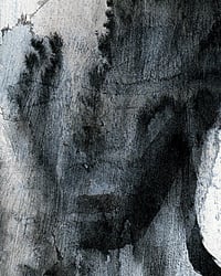 Image 3 of Ink - Hair