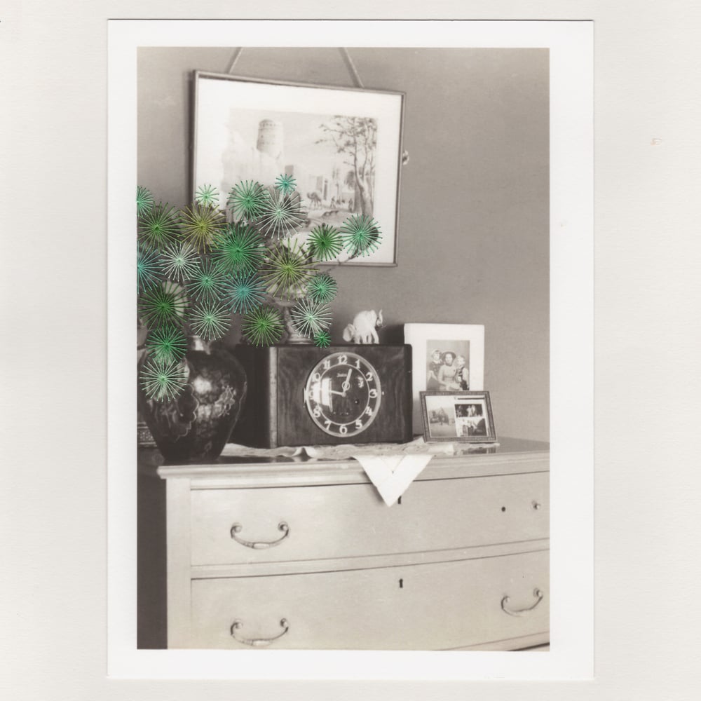 Image of STUDIO D'INTERNO
