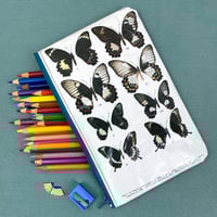Image 1 of Butterfly Entomology Book Page Pencil Case, Black