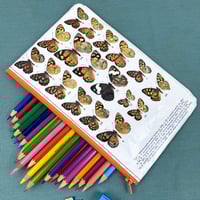 Image 1 of Butterfly Entomology Book Page Pencil Case, Orange