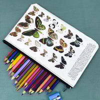 Image 1 of Butterfly Entomology Book Page Pencil Case, Mixed 