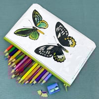 Image 1 of Butterfly Entomology Book Page Pencil Case, Green 