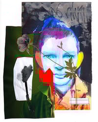 Image 1 of Collage - Tulip